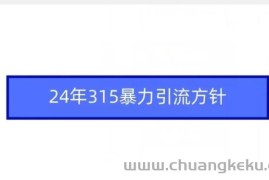 24年315暴力引流方针