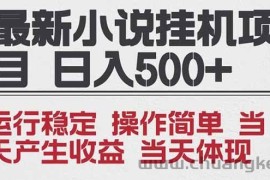 （16794期）2025全新小说挂机项目 年前吃肉 操作简单，单机当天收益1000+，收益无上限，可矩阵操作