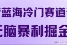 最新蓝海冷门赛道音频，无脑暴利掘金