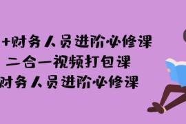 （7093期）AI + 财务人员进阶必修课二合一视频打包课，财务人员进阶必修课