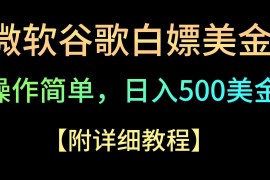 微软谷歌项目3.0，轻松日赚500+美金，操作简单，小白也可轻松入手！