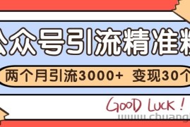 公众号私域获客，软文引流个人IP打造日引30+，快速沉淀起自己的私域流量池