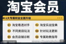 淘宝会员【淘宝所有课程，全面分析对手】，初级到高手全系实战宝典