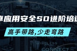 安卓应用安全SO进阶培训班：高手带路,少走弯路-价值999元