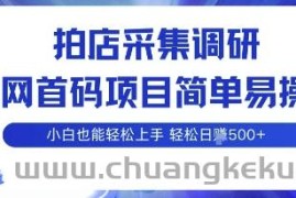 拍店采集调研，全网首码项目，简单易操作， 小白也能轻松上手，多账号操作，轻松日入5张【揭秘】