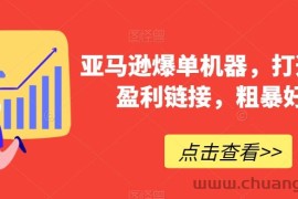 亚马逊爆单机器，打造巨额盈利链接，粗暴好用