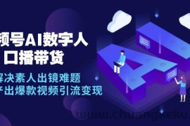 （12958期）视频号数字人AI口播带货，解决素人出镜难题，高效产出爆款视频引流变现