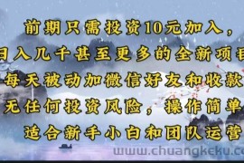 （14047期）前期只需投资10元加入，日入几千甚至更多的全新项目。每天被动加微信好…