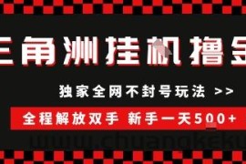 三角洲全自动挂G撸金，新手轻松一天5张+，无脑搬砖【揭秘】