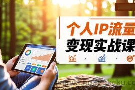 （16525期）个人IP流量变现实战课，涵盖多平台引流、打造个人IP并实现稳定流量变现