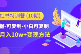 （4553期）小红书特训营（第10期）低门槛-可复制-小白可复制-独家月入10w+变现方法