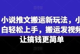 小说推文搬运新玩法，小白轻松上手，搬运发视频让搞钱更简单