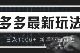 价值4980的拼多多最新玩法，月入3w【新手小白必备项目】【揭秘】