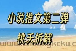 小说推文项目操作全流程第二弹，0粉就能做，门槛低非常适合新手