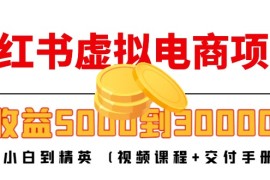 （4454期）小红书虚拟电商项目：从小白到精英 月收益5000到30000 (视频课程+交付手册)