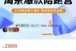 108将淘系爆款陪跑营【第九期】，从淘宝0开始，手把手教你链接起飞，爆款不断