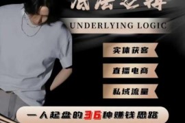一个人起盘的底层逻辑，私域流量-直播电商-实体获客，一人起盘的36种賺钱思路