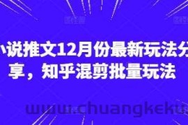 小说推文12月份最新玩法分享，知乎混剪批量玩法