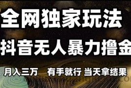 全网独家玩法抖音无人暴力撸金，月入3W，有手就行，当天拿结果【揭秘】