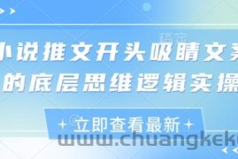 小说推文开头吸睛文案的底层思维逻辑实操