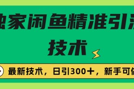 （6635期）独家闲鱼引流技术，日引300＋实战玩法