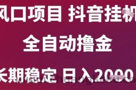 风口项目，六月最新玩法抖音无人挂G，全自动撸金，长期稳定 日入2k+【揭秘】