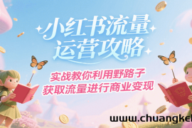 小红书流量运营攻略，实战教你利用野路子获取流量进行商业变现