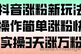 抖音涨粉新玩法，操作简单涨粉快，实操3天涨万粉