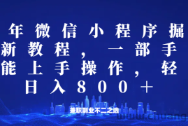 微信小程序25年掘金玩法，一部手机稳定日入800+，适合所有人群，兼职副业的不二之选