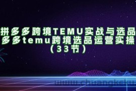 （11934期）拼多多跨境TEMU实战与选品，多多temu跨境选品运营实操（33节）