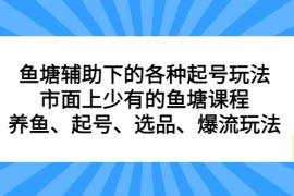 （6769期）鱼塘 辅助下的各种起号玩法，市面上少有的鱼塘课程 养鱼 起号 选品 爆流…