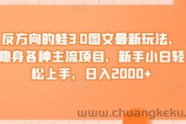 反方向的蛙3.0图文最新玩法，隐身各种主流项目，新手小白轻松上手，日入2000+【揭秘】