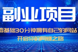 （6203期）零基础30分钟拥有自己的网站，日赚1000+，开启你的网赚之路（教程+源码）