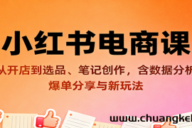 小红书电商课：从开店到选品、笔记创作，含数据分析，爆单分享与新玩法