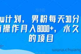 2024yw计划，男粉每天30分钟，无脑操作月入8000+，永久可做的项目【揭秘】