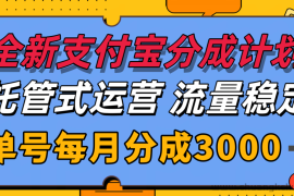 全新支付宝分成代运营，独家技术，收益稳定，单号月入3000＋
