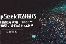 DeepSeek实战技巧：集合最强使用攻略，1000个神级提示词，让你成为AI高手