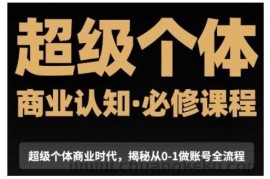 超级个体商业认知觉醒视频课，商业认知·必修课程揭秘从0-1账号全流程