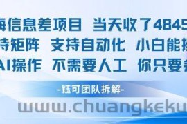 蓝海信息差项目当天收米1k+ 支持矩阵支持自动化小白能操作全程AI操作不需要人工你只要会电脑
