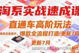 （15374期）淘系实战速成课，直通车高阶玩法，搜索流量提升，爆款全流程打造(更新7月)