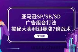 亚马逊SP/SB/SD广告组合打法，揭秘大卖利润暴涨7倍战术 (9节课)