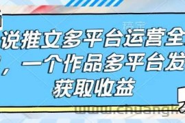 小说推文多平台运营全流程，一个作品多平台发布获取收益