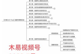 木易·视频号带货训练营：从负债百万到月佣金50W+（价值4980元）