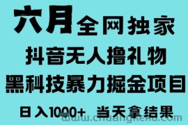 25年6月高爆抖音无人直播最新撸音浪掘金项目，门槛低小白可做，无脑日入1k，可矩阵放大【揭秘】