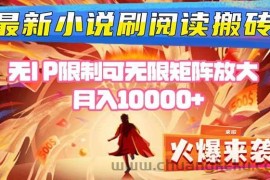 （16237期）小说阅读搬砖单机每天收益200-400+ 无IP限制可无限矩阵放大 —