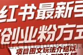 小红书最新引流创业粉方式，项目图文玩法介绍以及如何安全倒流私域