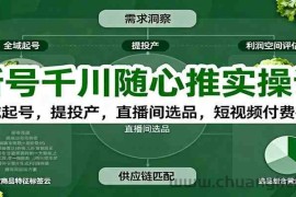 新号千川随心推实操课：全域起号，提投产，直播间选品，短视频付费拉爆