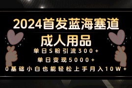 2024首发蓝海塞道成人用品，月入10W+保姆教程