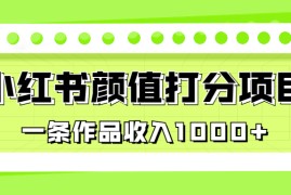 （6804期）适合0基础小白的小红书颜值打分项目，一条作品收入1000+