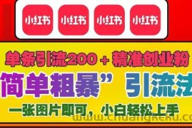 12月底小红书”简单粗暴“引流法，单条引流200+精准创业粉